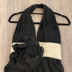 Stunning Black Plunging neckline, low back long gown.